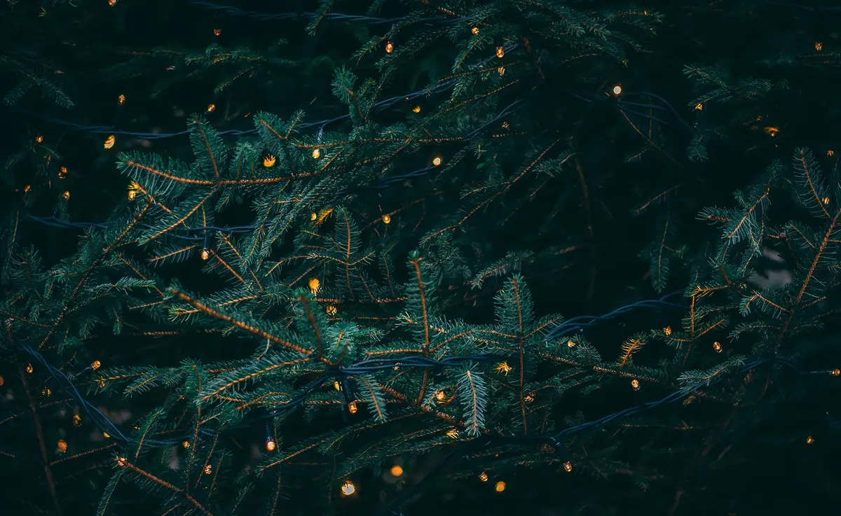 Wir spenden unsere Weihnachtsfeier. Wer macht mit?
